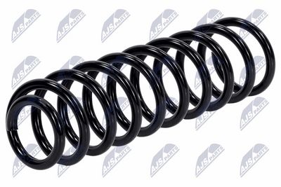 Suspension Spring NTY ASZ-AU-045