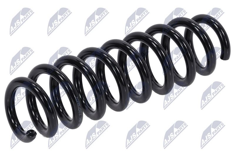 NTY ASZ-BM-001 Suspension Spring