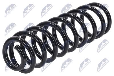 Suspension Spring NTY ASZ-CH-005