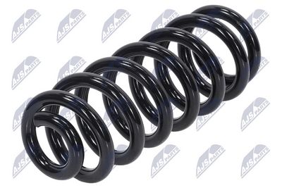 Suspension Spring NTY ASZ-CH-006