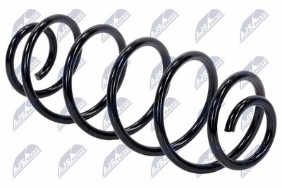 Suspension Spring NTY ASZ-CT-023