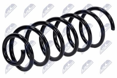 Suspension Spring NTY ASZ-CT-036