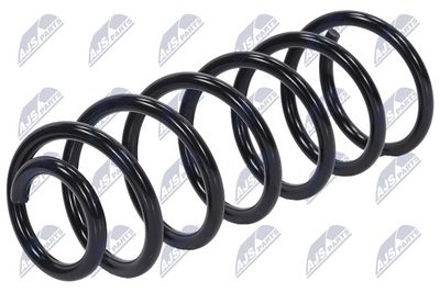 Suspension Spring NTY ASZ-CT-037