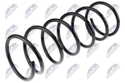 Suspension Spring NTY ASZ-CT-044