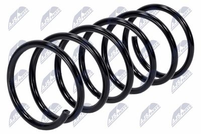 Suspension Spring NTY ASZ-CT-045