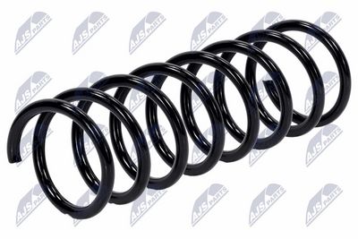 Suspension Spring NTY ASZ-FR-011