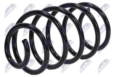 Suspension Spring NTY ASZ-FR-034