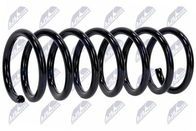 Suspension Spring NTY ASZ-FR-038