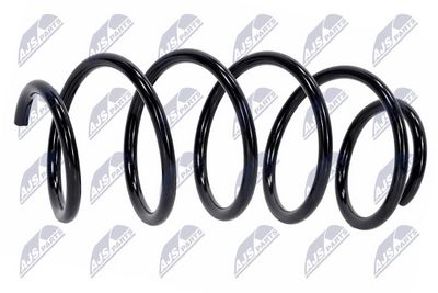 Suspension Spring NTY ASZ-FR-039
