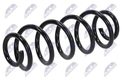 Suspension Spring NTY ASZ-FT-001