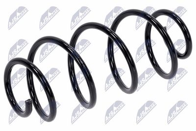 Suspension Spring NTY ASZ-FT-004