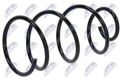 Suspension Spring NTY ASZ-FT-012