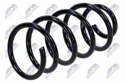 Suspension Spring NTY ASZ-FT-018