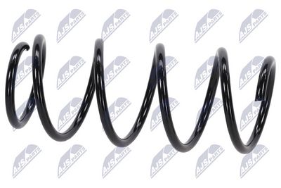 Suspension Spring NTY ASZ-FT-020