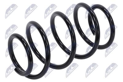 Suspension Spring NTY ASZ-NS-009