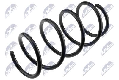 Suspension Spring NTY ASZ-NS-027