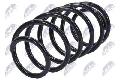 Suspension Spring NTY ASZ-PE-003