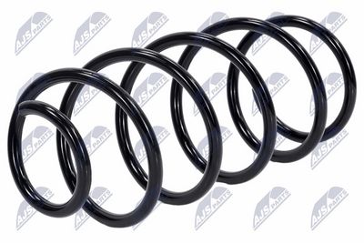 Suspension Spring NTY ASZ-PE-009