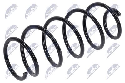 Suspension Spring NTY ASZ-PE-010
