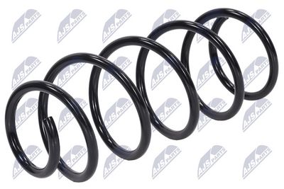 Suspension Spring NTY ASZ-PE-011