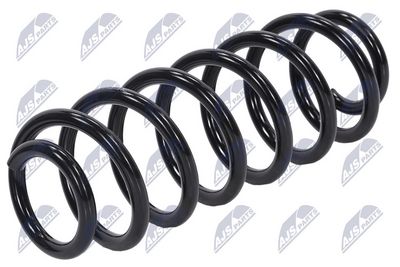 Suspension Spring NTY ASZ-PE-018
