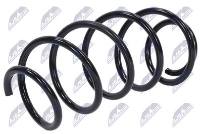 Suspension Spring NTY ASZ-PE-020
