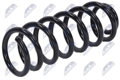Suspension Spring NTY ASZ-PE-026