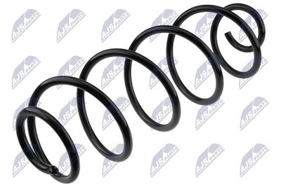 Suspension Spring NTY ASZ-PE-033
