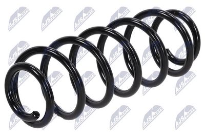 Suspension Spring NTY ASZ-PE-035
