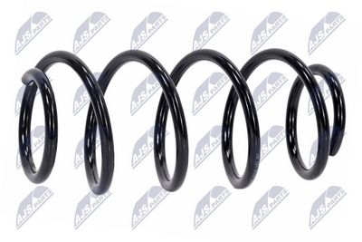 Suspension Spring NTY ASZ-PL-013