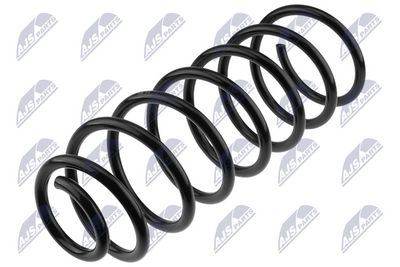 Suspension Spring NTY ASZ-PL-020