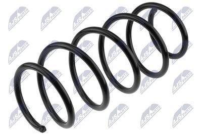 Suspension Spring NTY ASZ-PL-035