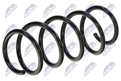 Suspension Spring NTY ASZ-PL-038