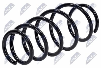 Suspension Spring NTY ASZ-PL-041
