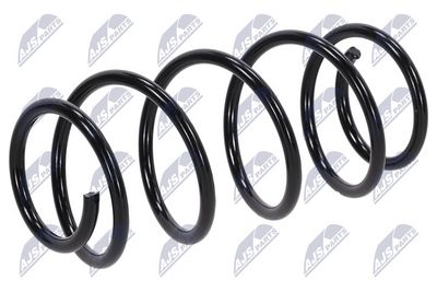 Suspension Spring NTY ASZ-PL-048