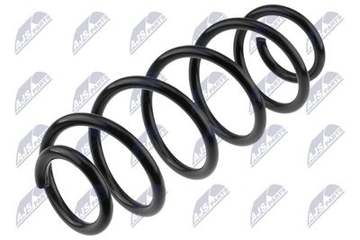 Suspension Spring NTY ASZ-PL-055