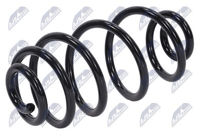 Suspension Spring NTY ASZ-PL-069