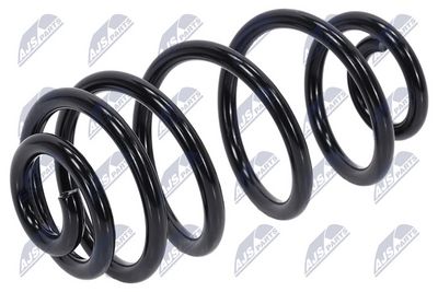 Suspension Spring NTY ASZ-PL-073