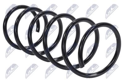 Suspension Spring NTY ASZ-RE-003