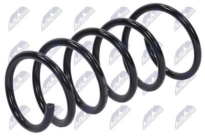 Suspension Spring NTY ASZ-RE-004