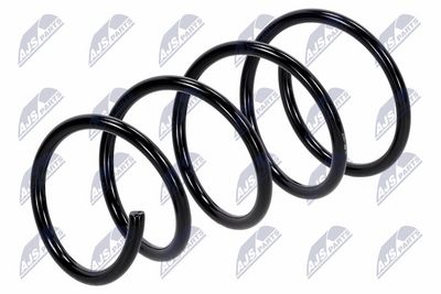 Suspension Spring NTY ASZ-RE-007