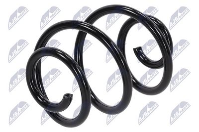 Suspension Spring NTY ASZ-RE-009