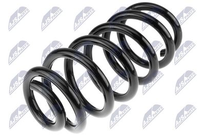 Suspension Spring NTY ASZ-RE-012