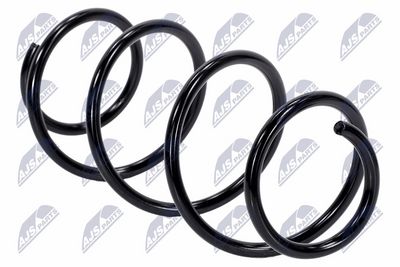 Suspension Spring NTY ASZ-RE-013