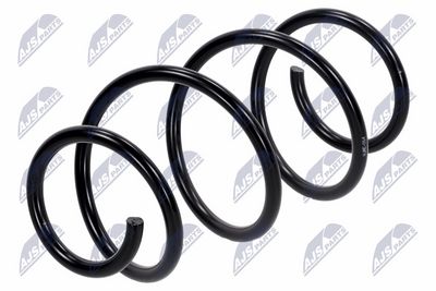 Suspension Spring NTY ASZ-RE-014