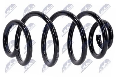 Suspension Spring NTY ASZ-RE-016