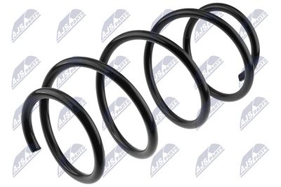 Suspension Spring NTY ASZ-RE-019