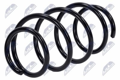 Suspension Spring NTY ASZ-RE-024