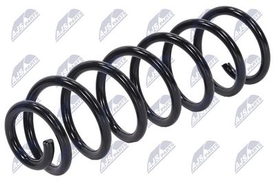 Suspension Spring NTY ASZ-RE-026