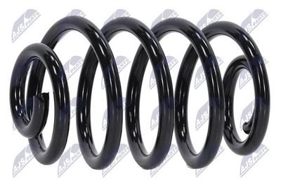 Suspension Spring NTY ASZ-RE-029
